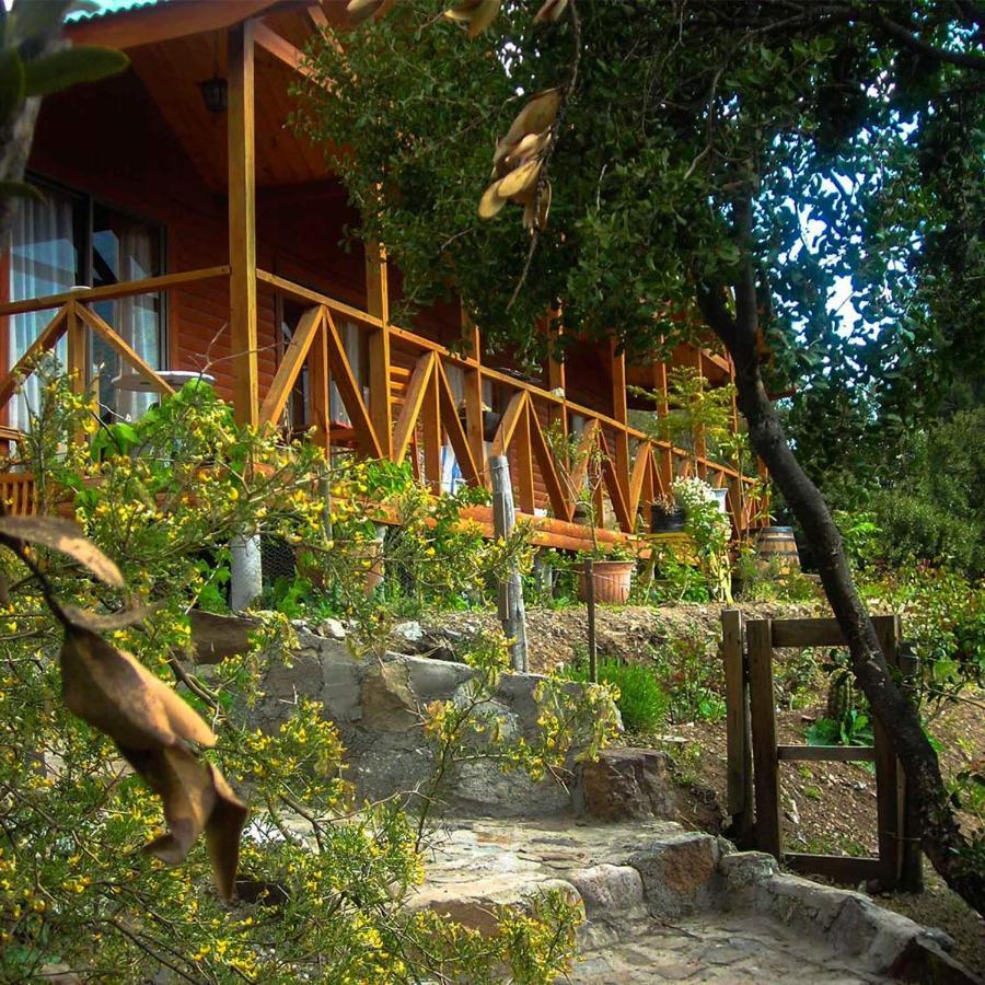 Las lomitas de Guayacan, Cabañas y Spa San José de Maipo Exterior foto