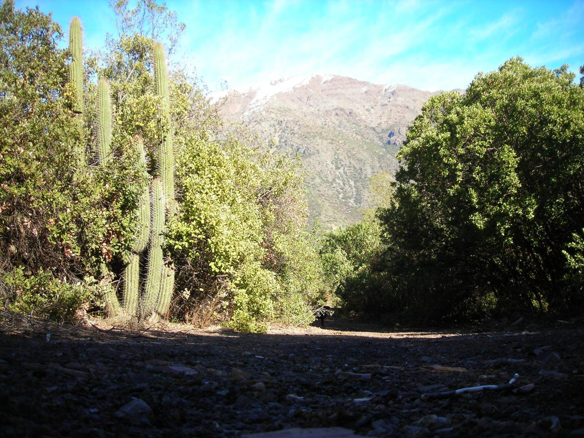 Las lomitas de Guayacan, Cabañas y Spa San José de Maipo Exterior foto